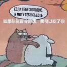 书虫C先生的个人资料头像