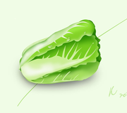 一棵大白菜的个人资料头像