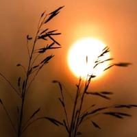 一切安好3161208100713头像