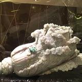 博缘头像