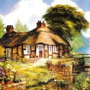 张谨言的个人资料头像