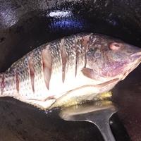条甘里闹勺样A头像