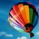 找机会的个人资料头像