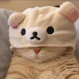 赤峰众汇王宏静头像