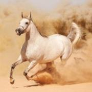 韩建平的个人资料头像