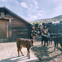 用户9841564128463头像