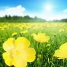 houhui的个人资料头像