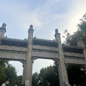 苏苏来聊事头像