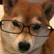 专业写Bug的个人资料头像