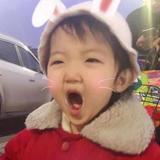 一只小逗鹅头像