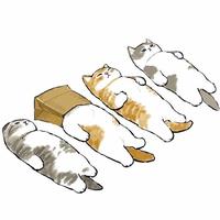 王不熟ZoomZoom头像