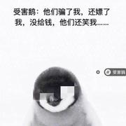 花Q李狗蛋的个人资料头像