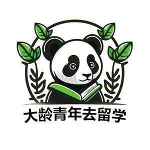 大龄青年去留学头像