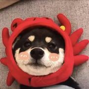 BruceLeung的个人资料头像