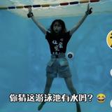 小艺小艺艺艺艺头像