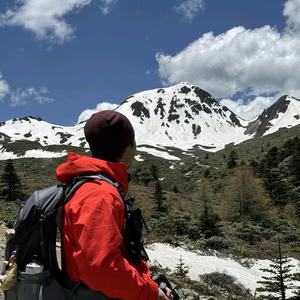 野生章鱼头像