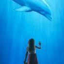 zzjjss的个人资料头像