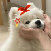 爭取不熬夜_的个人资料头像