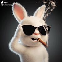 用户362547337407头像