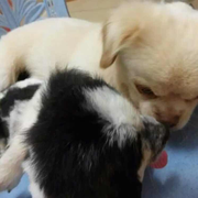 前端老菜鸟吧的个人资料头像