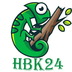 HBK24头像