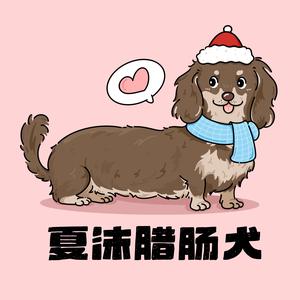 小同学宠物西安腊肠犬头像