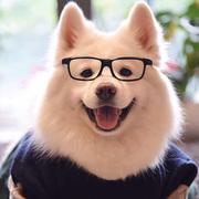 夏天1471099542902的个人资料头像