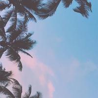 用户3293123921565头像