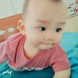 668308头像
