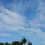 天凉好个秋6457头像