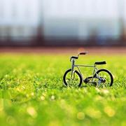 用户11096300818的个人资料头像