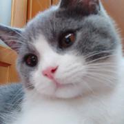 pointer2077的个人资料头像