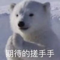 一辆小科闯天涯头像