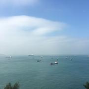 红豆先生的个人资料头像