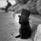 简言之的个人资料头像