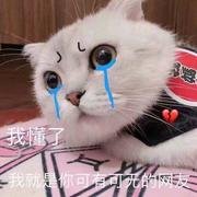 李乔峰的个人资料头像