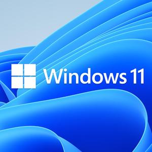 奥创的Windows11头像