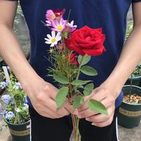 故事的小黄花lin头像