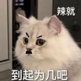 宗介0821头像