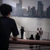 是小朱不是小猪e头像