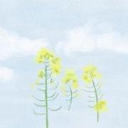 落日456的个人资料头像