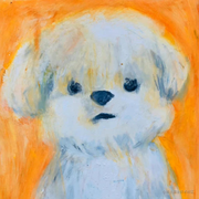 七月正当夏的个人资料头像