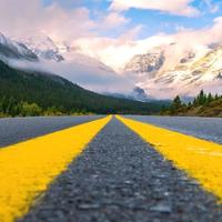 猪八戒瘦了嗯哼头像