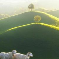 一大块翔云2头像