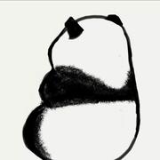 Lizy的个人资料头像