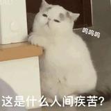 何等的人间疾苦头像
