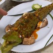 lickyDai的个人资料头像