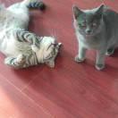 HPAN_的个人资料头像