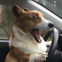 你的好友已上线哦头像