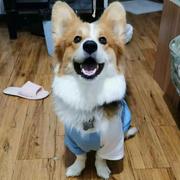 龚航宇的个人资料头像